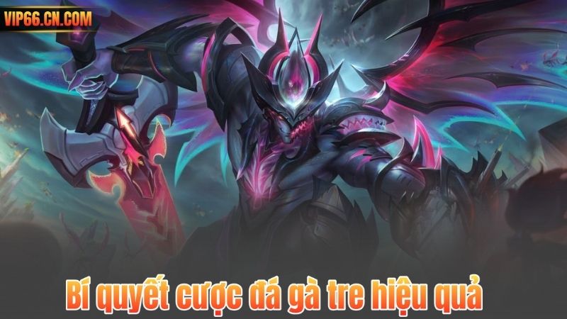 Bí quyết cược đá gà tre hiệu quả