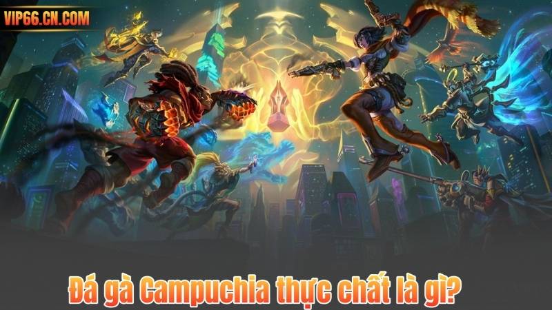 Đá gà Campuchia thực chất là gì?