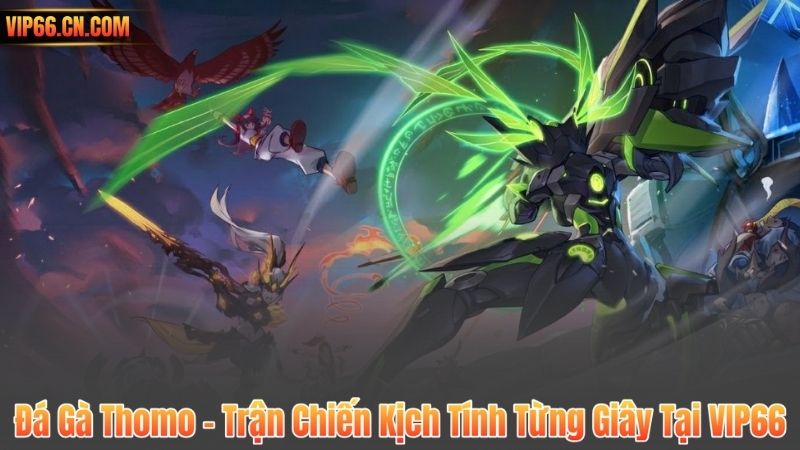 Đá Gà Thomo – Trận Chiến Kịch Tính Từng Giây Tại VIP66