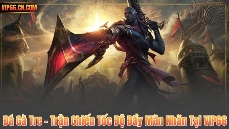 Đá Gà Tre – Trận Chiến Tốc Độ Đầy Mãn Nhãn Tại VIP66