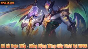 Đá Gà Trực Tiếp – Sống Động Từng Giây Phút Tại VIP66