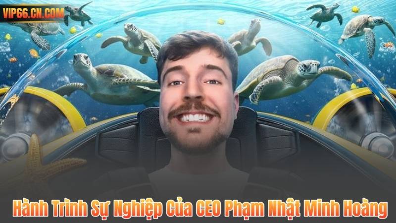 Hành Trình Sự Nghiệp Của CEO Phạm Nhật Minh Hoàng