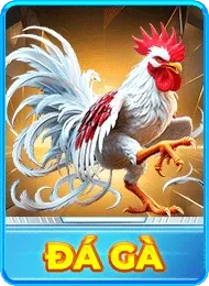 imgi_16_da ga vip66cn