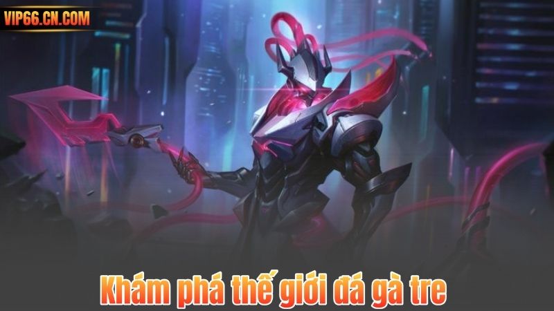 Khám phá thế giới đá gà tre