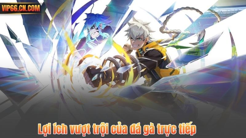 Lợi ích vượt trội của đá gà trực tiếp