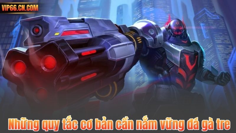 Những quy tắc cơ bản cần nắm vững đá gà tre